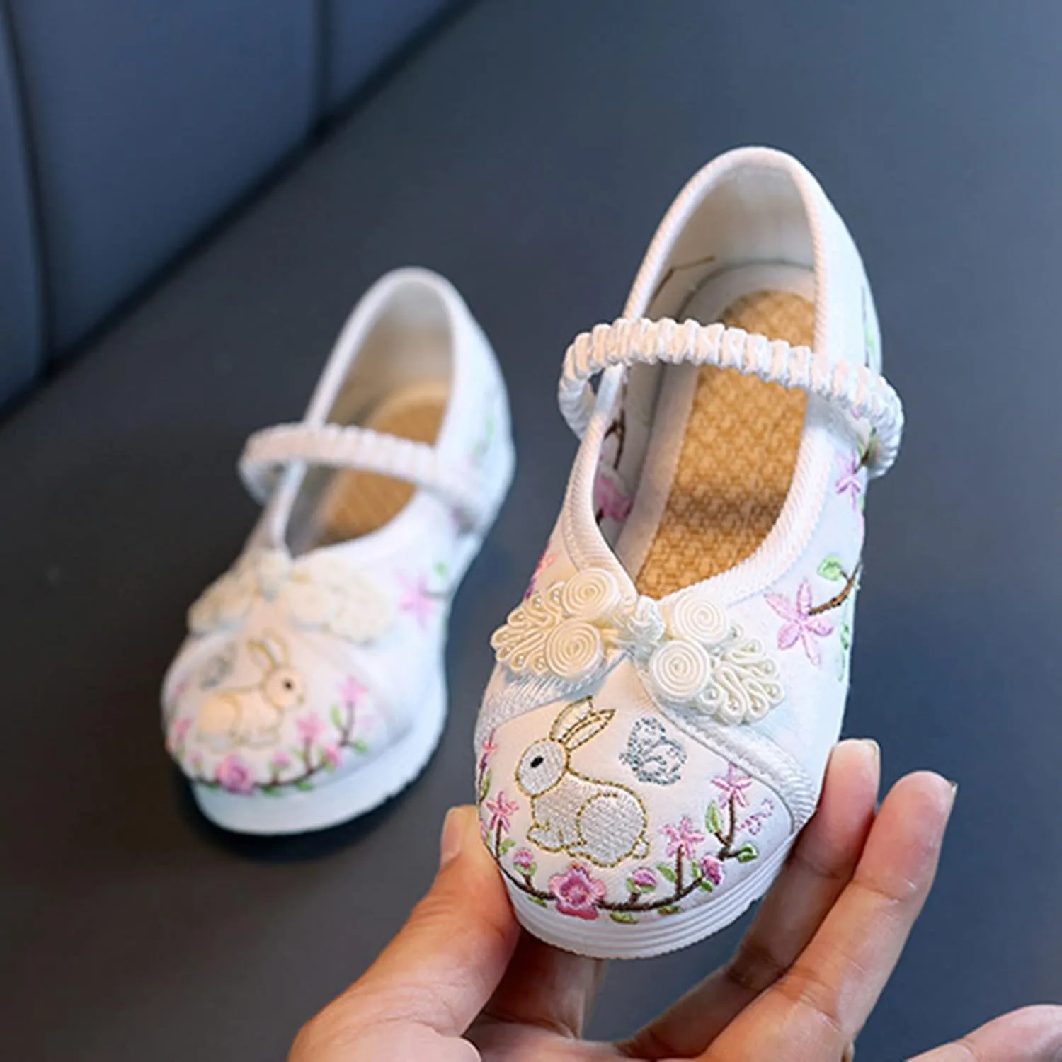 Girl Mary Jane Dance Shoes Chinese Traditional Floral Butterfly Embroidery Shoes Dress Ballet Flats