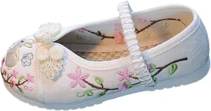 Girl Mary Jane Dance Shoes Chinese Traditional Floral Butterfly Embroidery Shoes Dress Ballet Flats